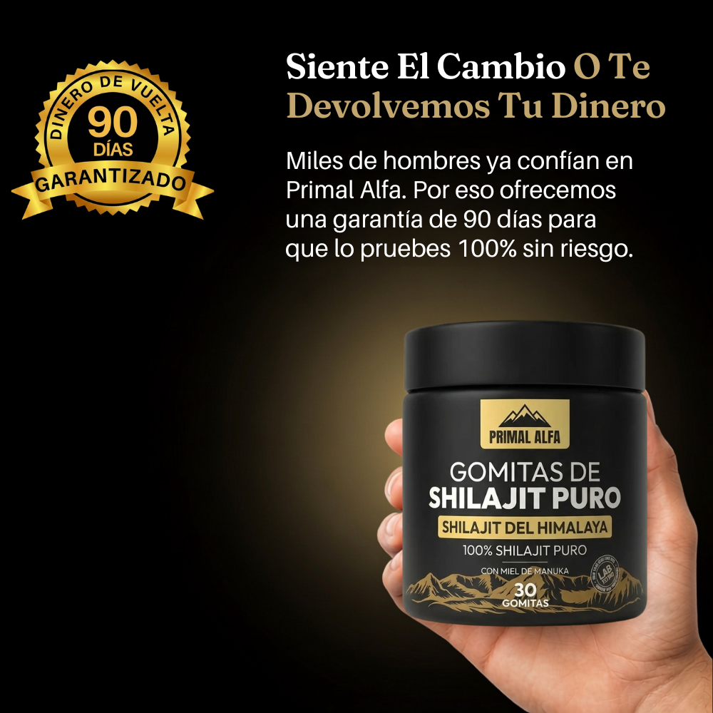 GOMITAS DE SHILAJIT
