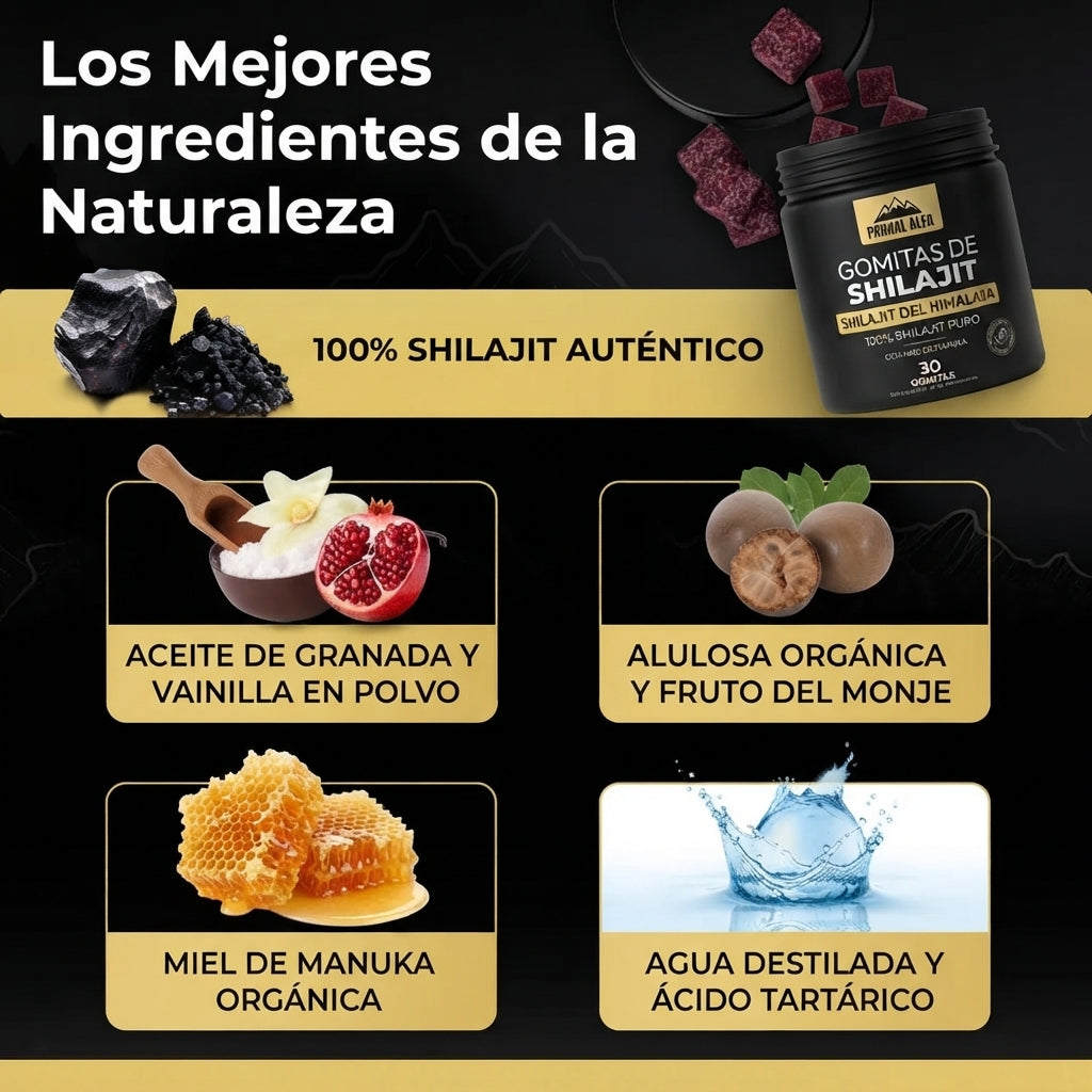 GOMITAS DE SHILAJIT